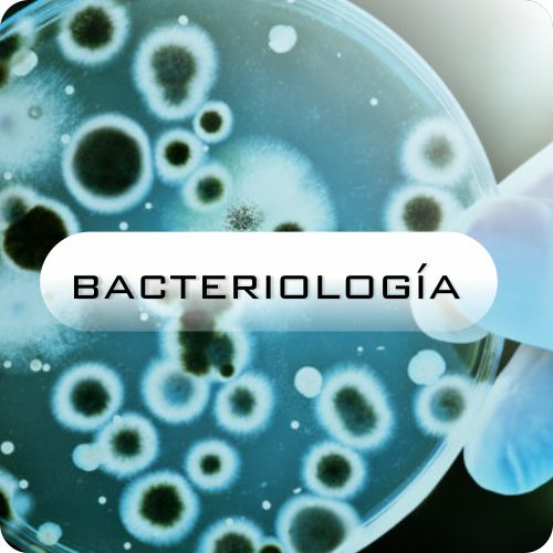 Bacteriología